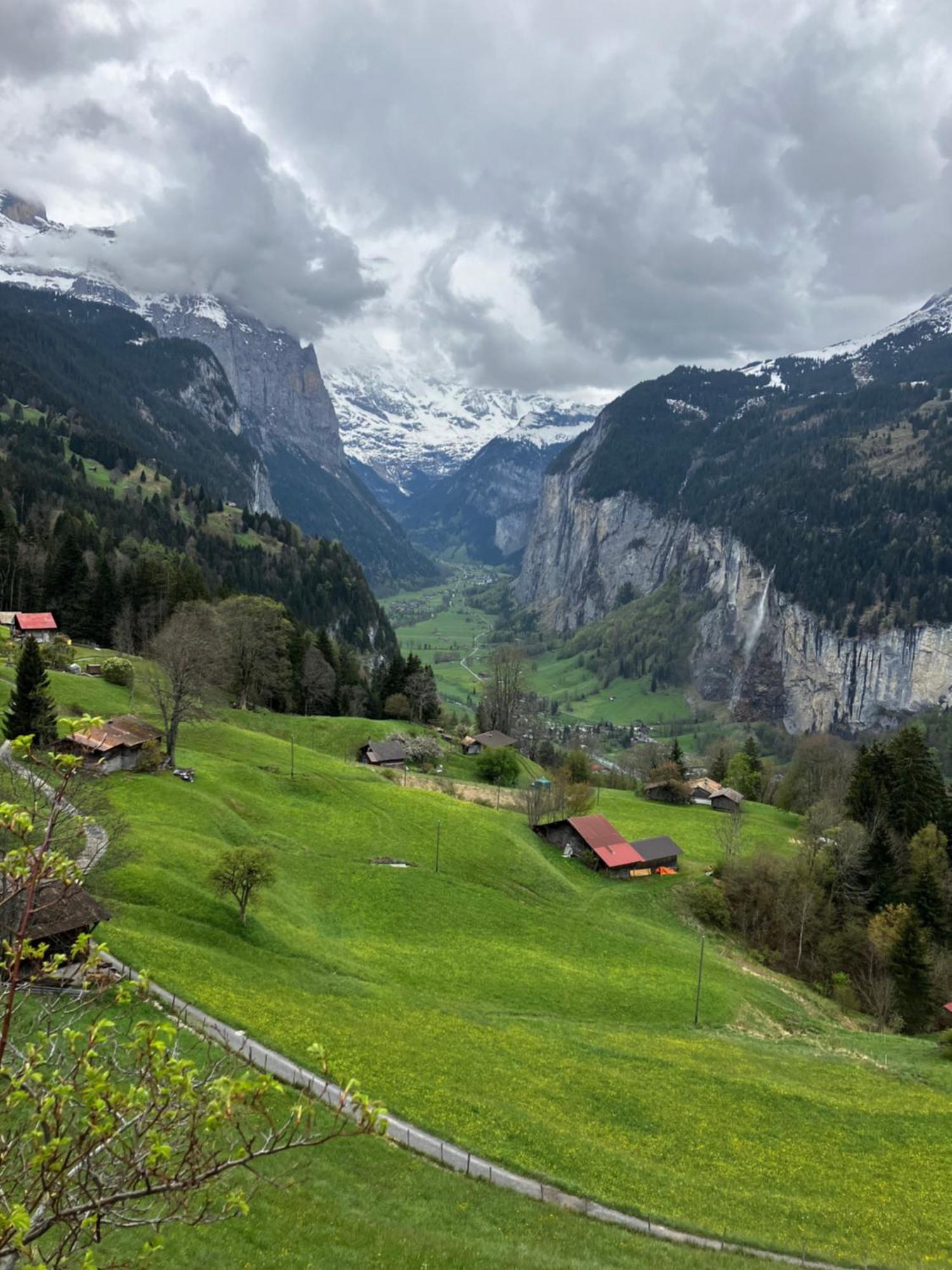 Chalet Alpina Gyger Wengen Buitenkant foto