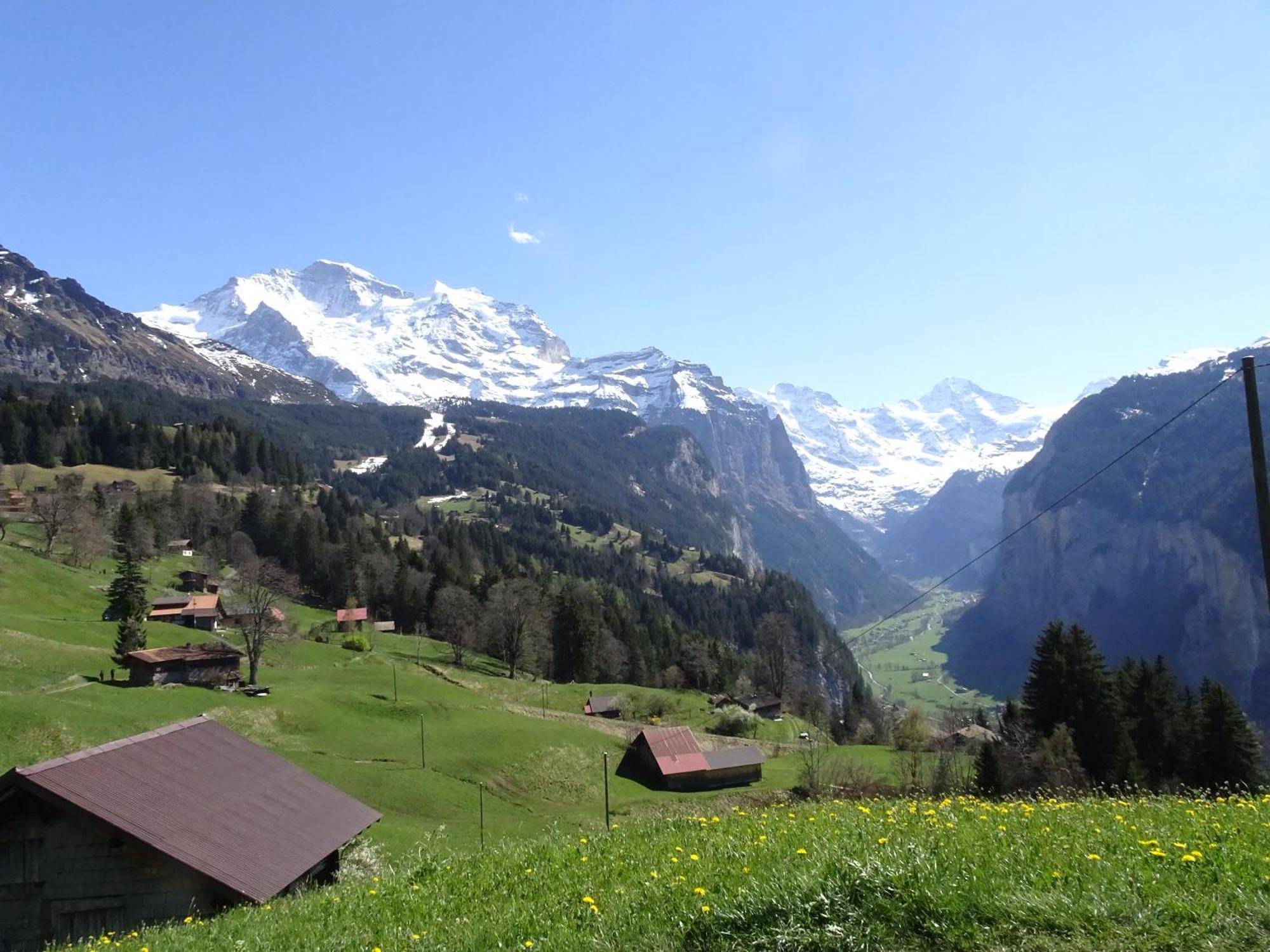Chalet Alpina Gyger Wengen Buitenkant foto