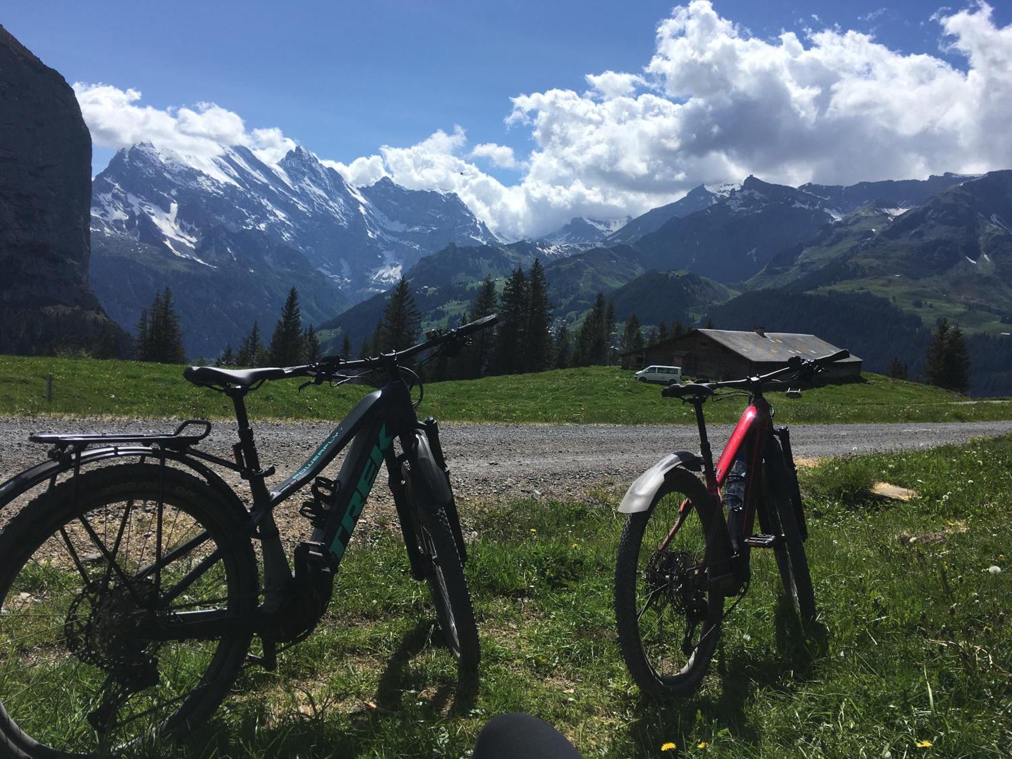 Chalet Alpina Gyger Wengen Buitenkant foto