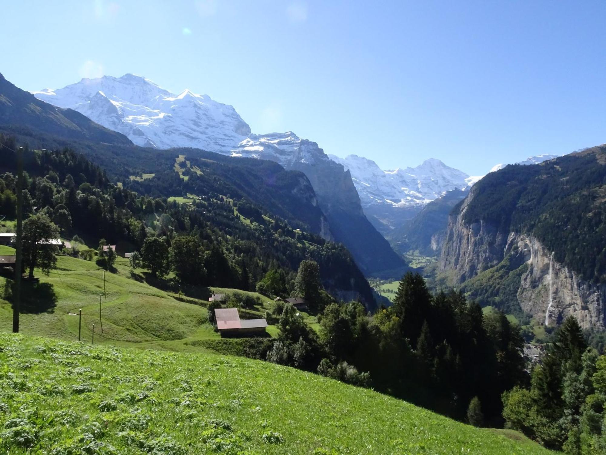 Chalet Alpina Gyger Wengen Buitenkant foto