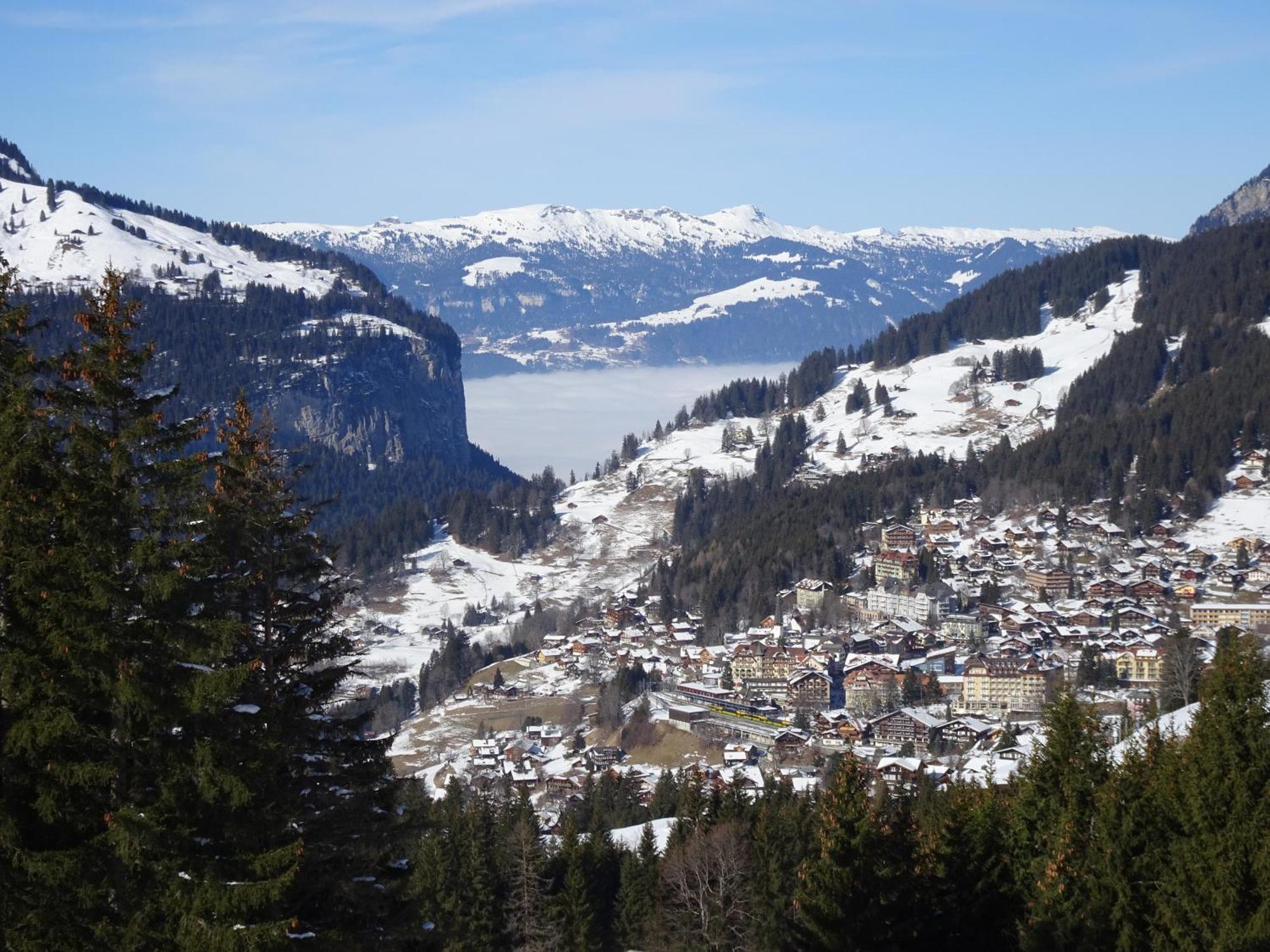 Chalet Alpina Gyger Wengen Buitenkant foto