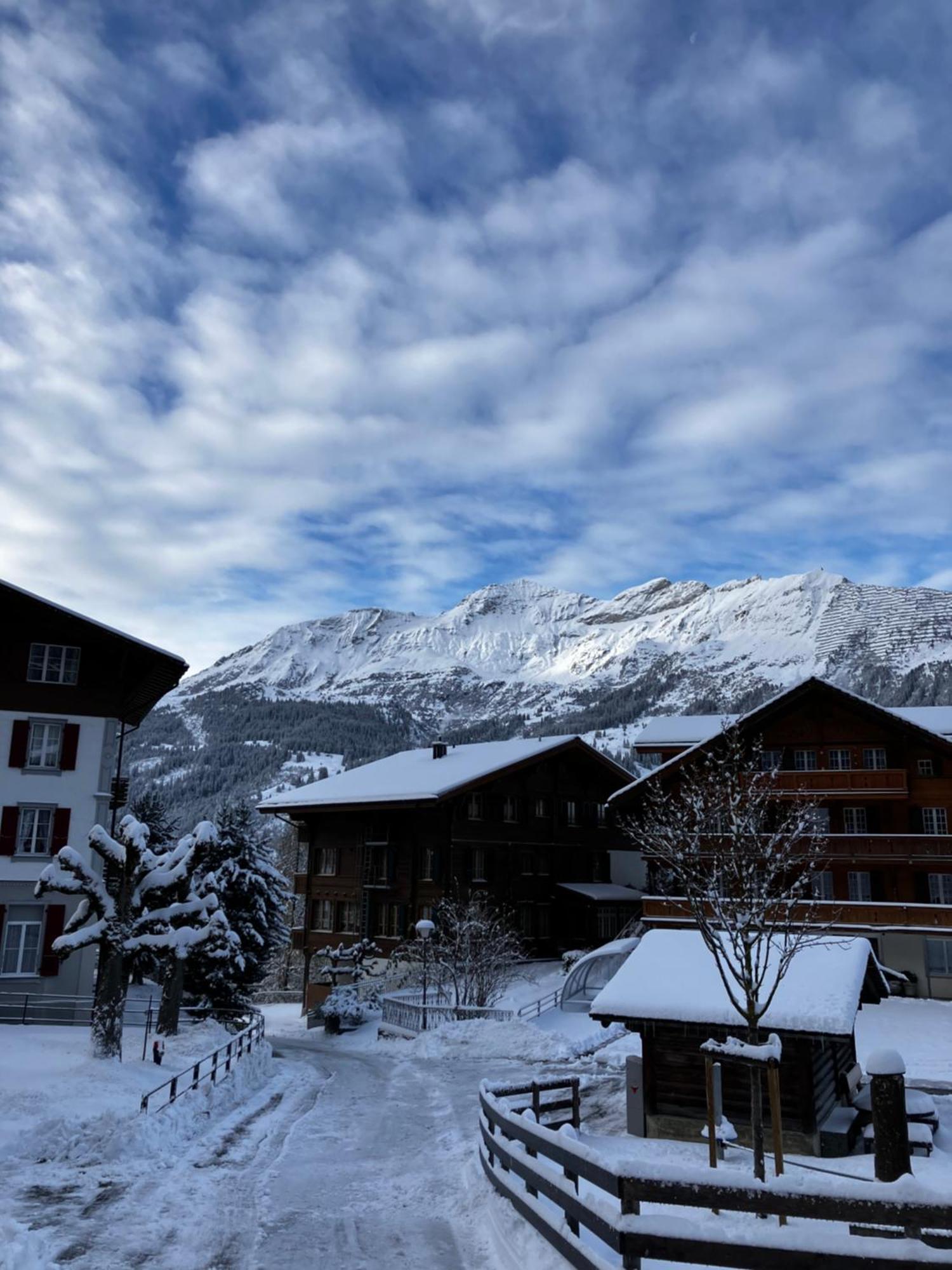 Chalet Alpina Gyger Wengen Buitenkant foto